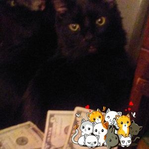 Meet your Posher, Teally